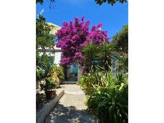 Villa Aups Ambiente 26