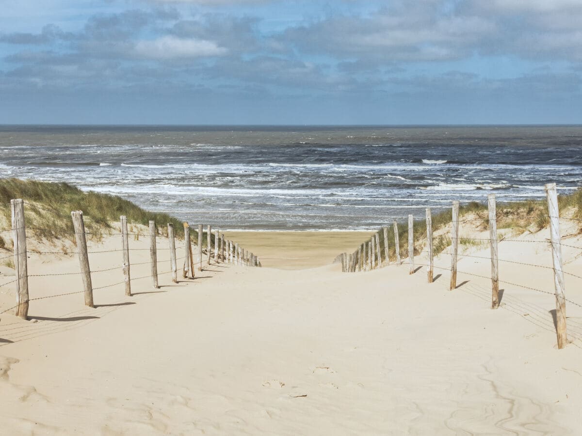 Dunes of Zandvoort