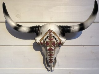 Appartamento Zandvoort Caratteristiche 14