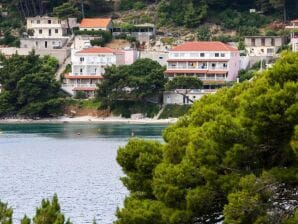 Apartmetns Franka Saplunara-One-Bedroom Apartment with Terrace and Sea View No2 - Saplunara - image1