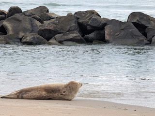Holiday house Nørlev Strand  40