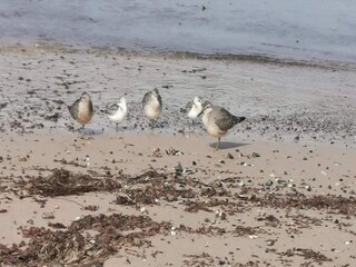 Holiday house Nørlev Strand  12