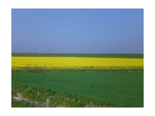 Blick über den Deich vor der Haustür