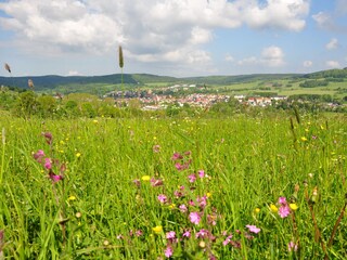 Appartamento per vacanze Brotterode-Trusetal Ambiente 23