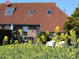 Blick vom Feld