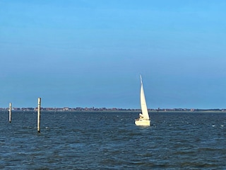 Blick nach Baltrum