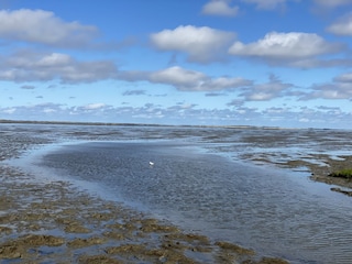 Wattenmeer
