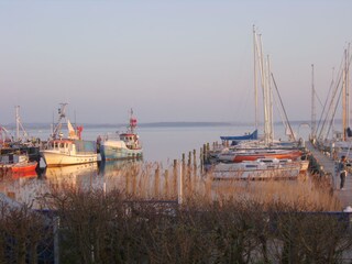 Appartamento per vacanze Rerik Registrazione all'aperto 6