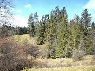 Holiday house Hopferau Environment 30