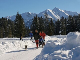 Apartamento Seefeld in Tirol Entorno 14