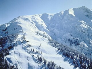 Appartement Seefeld in Tirol Environnement 13