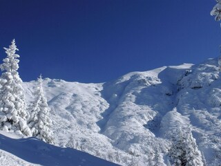 Appartement Seefeld in Tirol Omgeving 14