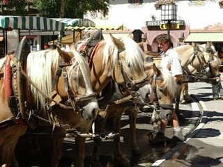 Appartement Seefeld in Tirol Omgeving 15