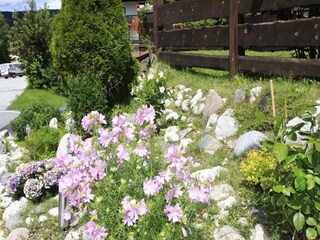 Apartment Seefeld in Tirol Outdoor Recording 6