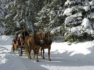 Apartment Seefeld in Tirol Umgebung 17