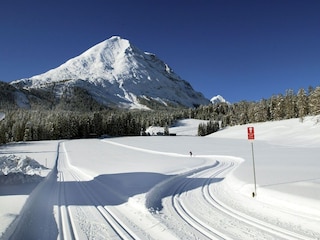 Appartement Seefeld in Tirol Environnement 22