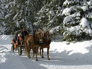 Appartamento Seefeld in Tirol Ambiente 22