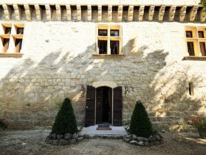 Maison de vacances Château rustique de Bon-Encontre avec terrasse - Bourg-de-Visa - image1