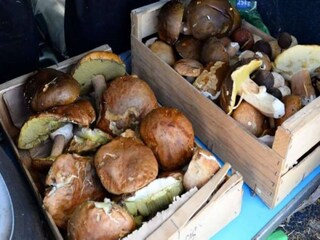 Cottage Bourg-de-Visa  30