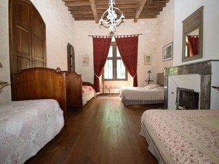 Castle Bourg-de-Visa Features 28