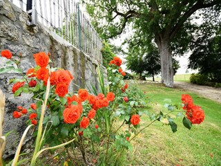 Castle Bourg-de-Visa Outdoor Recording 3