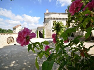 Castello Bourg-de-Visa  38