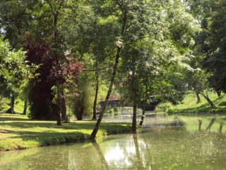 Vakantiehuisje Bourg-de-Visa Omgeving 31