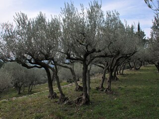 Villa Entrecasteaux Ambiente 34