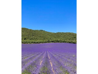 Villa Entrecasteaux Ambiente 39