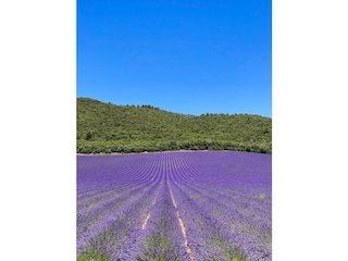 Villa Entrecasteaux Omgeving 39