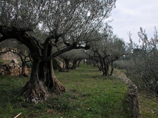 Villa Entrecasteaux Registrazione all'aperto 14