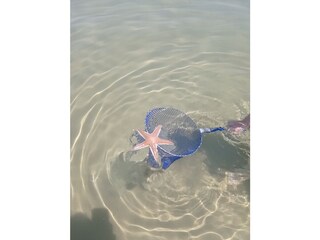 Vakantiehuis Vrsi Omgeving 32