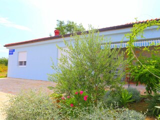 Vakantiehuis Vrsi Buitenaudio-opname 5