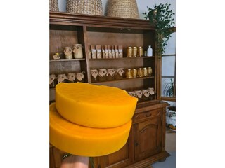 Our apiary where you can taste honey