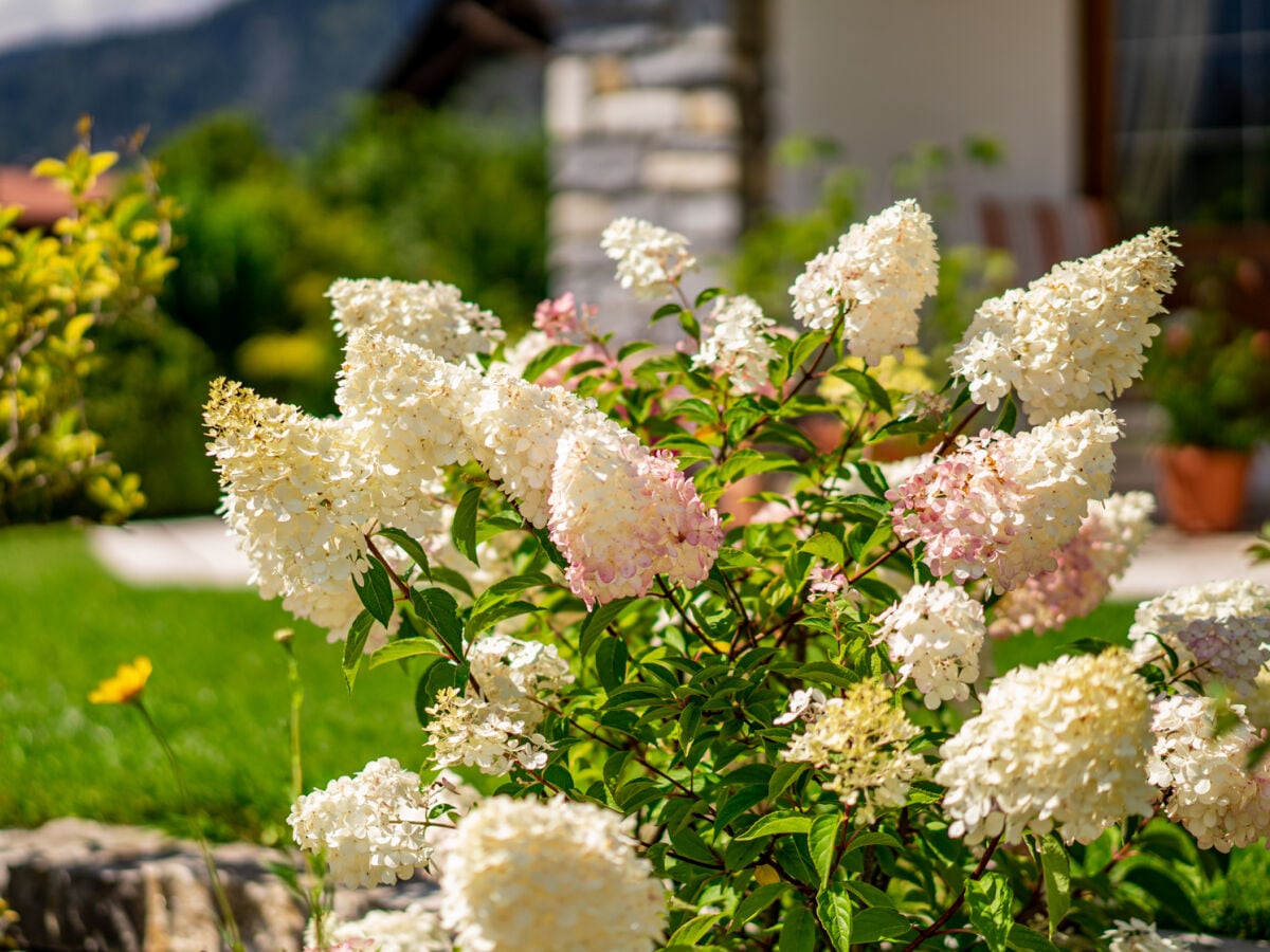 Sommer in Reit im Winkl