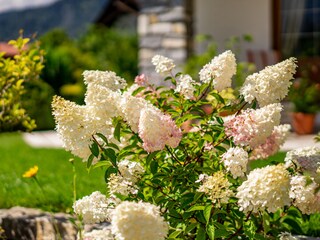 Summer in Reit im Winkl
