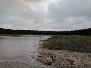 Vakantiehuis Vester Husby  42