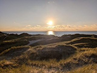 Vakantiehuis Vester Husby  11