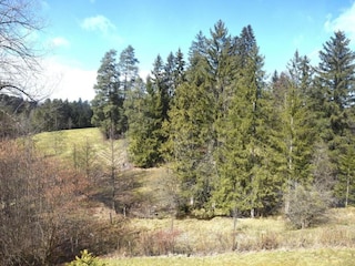 Ferienhaus Nesselwang Umgebung 27