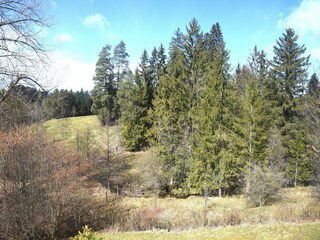 Vakantiehuis Nesselwang Omgeving 19