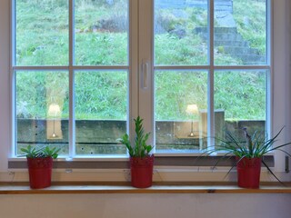 Blick in den Garten