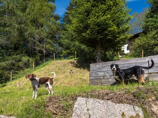 Casa per le vacanze Enzklösterle Ambiente 19