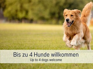 Vakantiehuis Alpirsbach Buitenaudio-opname 3