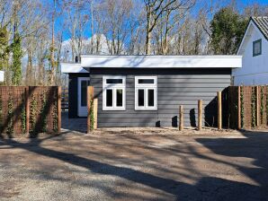 Ferienhaus 't Goudhaantje