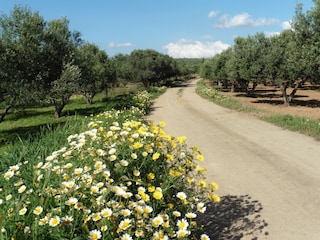 Kreta im Frühling