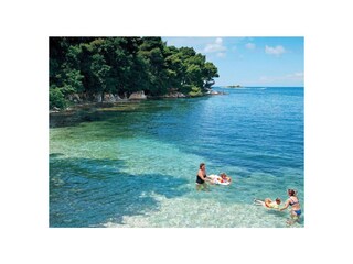 Appartamento per vacanze Sveti Lovrec Ambiente 33