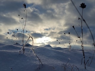 Schneelandschaft 2024