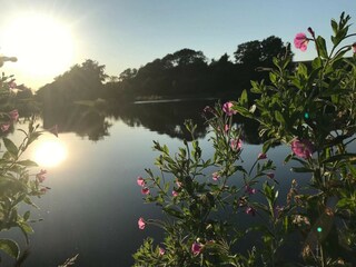 Vakantiehuis Virksund  15