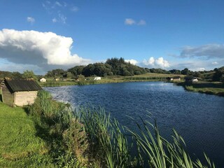 Vakantiehuis Virksund  24