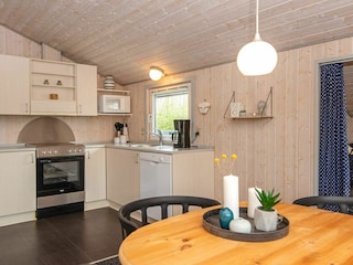 Ferienhaus Bork Havn  3